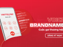 VOICE BRANDNAME LÀ GÌ